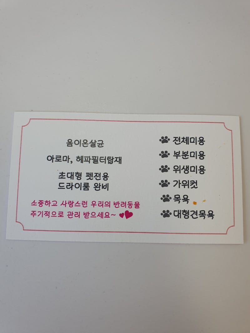 사진 4