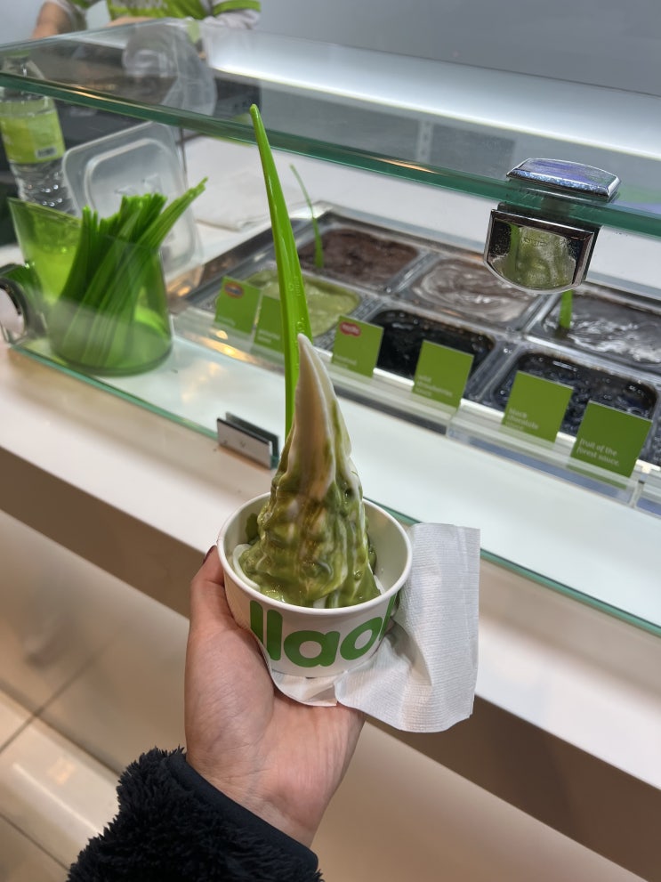 코타키나발루 디저트 맛집 이마고 몰 점과 수리아 사바점 요거트아이스크림 야오야오 llaollao
