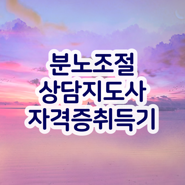  분노조절상담지도사자격증 인강만 듣고 합격 후기