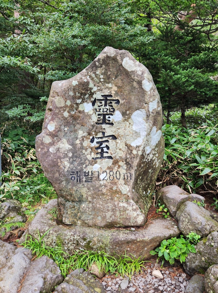 24년 9월 제주 (6) - 영실 탐방로 (입구컷), 천왕사 24년 9월 제주 (6) - 영실 탐방로 (입구컷), 천왕사