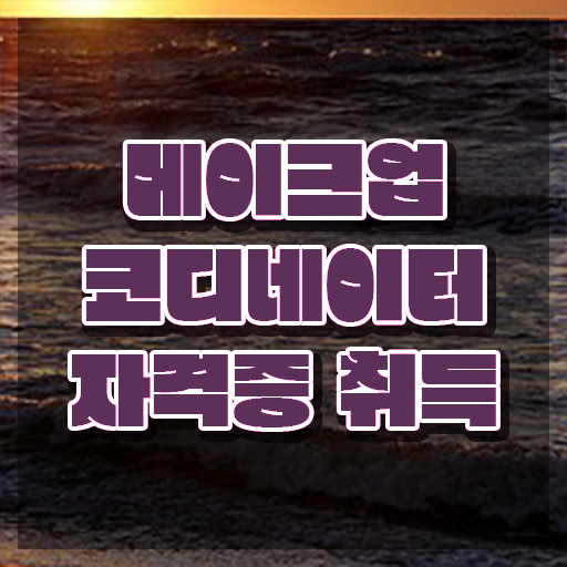  메이크업전문대 , 메이크업코디네이터 자격증 합격한 비법 확인하고 가세요