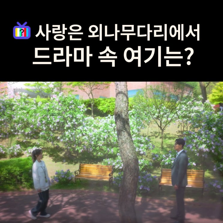  미친 라일락이 있는 독목고는? 천안 국립중앙청소년수련원 (드라마 사랑은 외나무다리에서 촬영지)