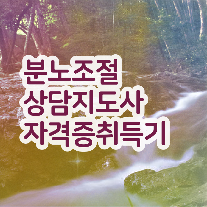  , 분노조절상담지도사 고졸자도 인강만으로 최단기간 끝내는 팁