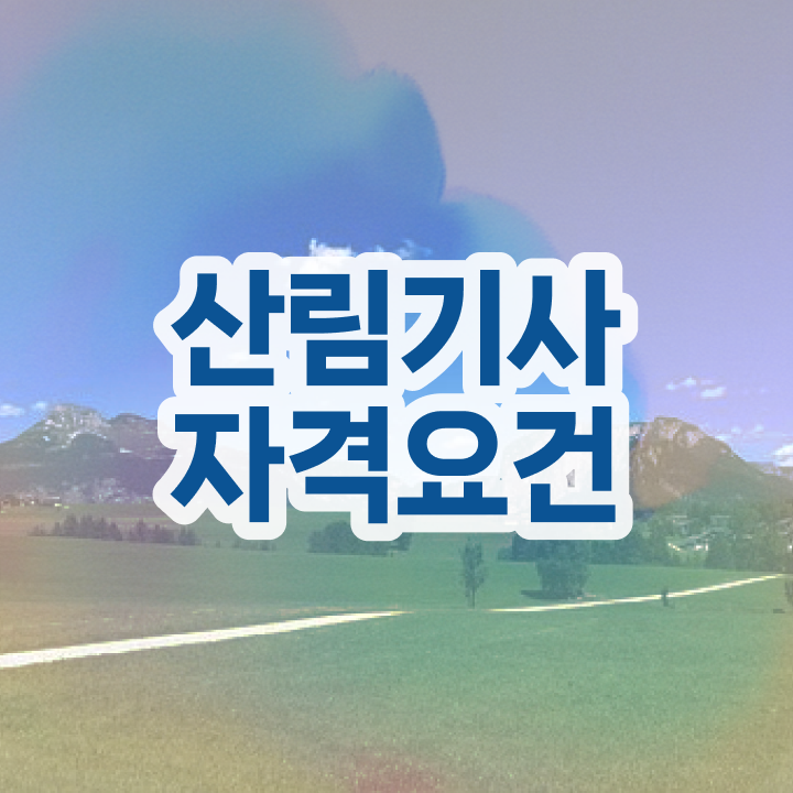  산림기사 2차 , 산림기사 시험자격 인강으로 쉽고 빠르게 성공한 방법
