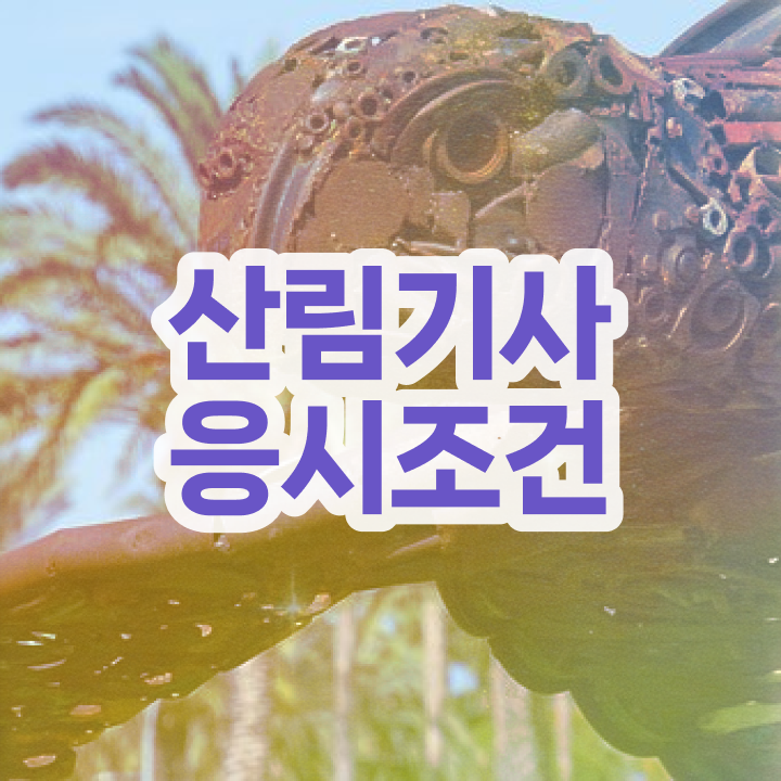  2024 산림기사 , 산림기사 시험응시조건 인강으로 쉽고 빠르게 끝낸 노하우