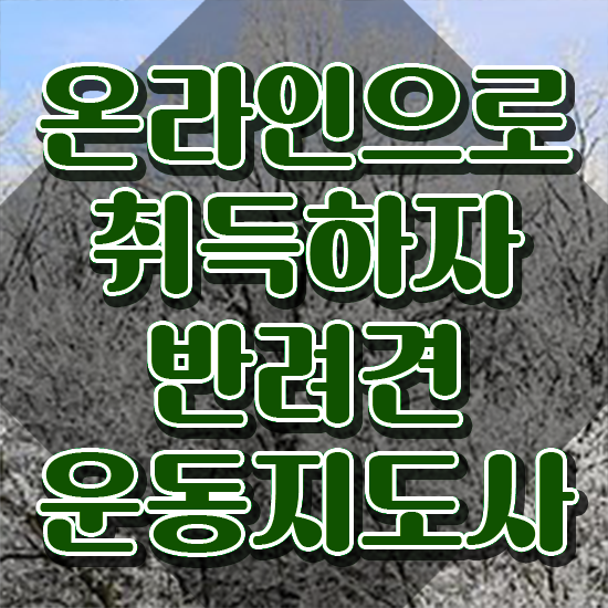  40대후반자격증 , 반려견운동지도사 온라인 교육원에서 관련학과 졸업장, 경력없어도 간단하게 끝냈던 과정