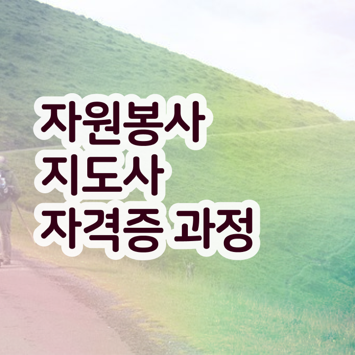  자원봉사지도사 자격조건 , 자원봉사지도사 자격증 15일 만에 취득한 방법 , 이후 전망