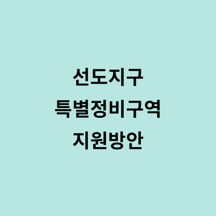  선도지구 특별정비구역 지원방안