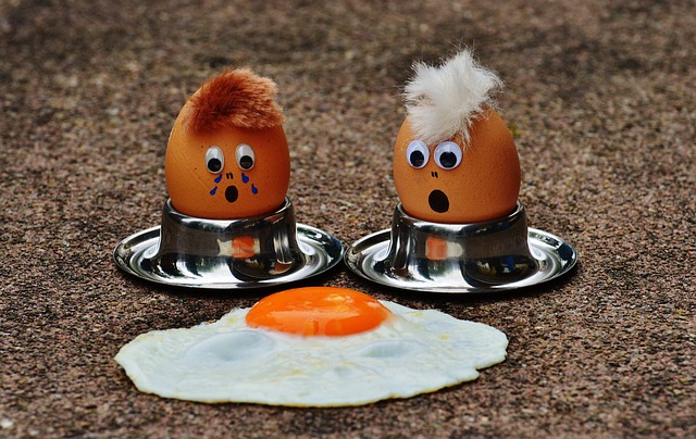  good egg, bad egg, have egg on your face, egghead 관용표현 뜻 예문