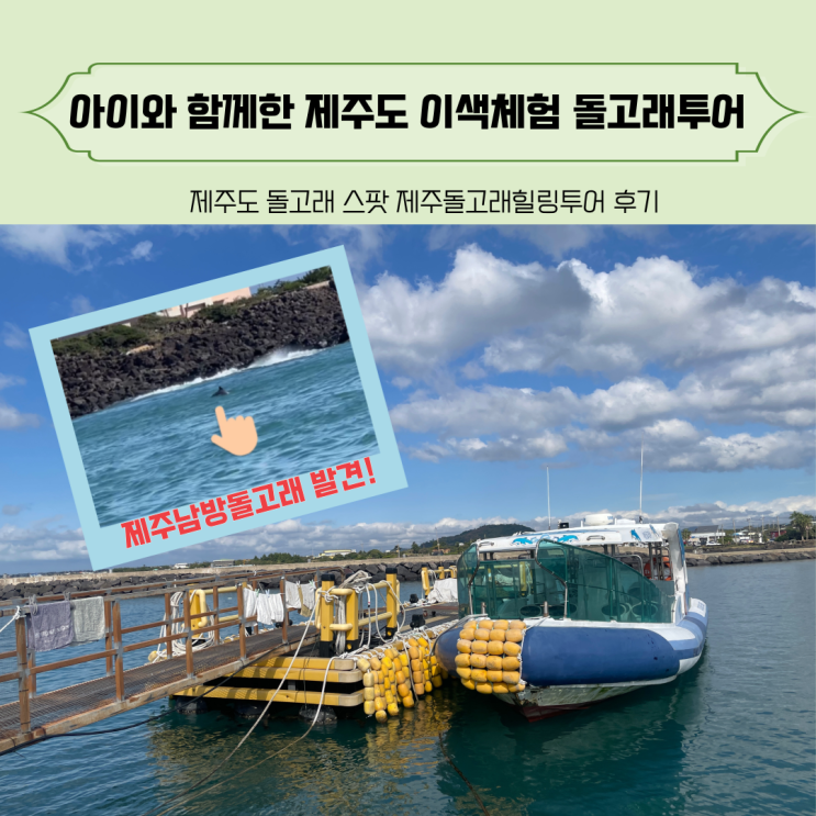 제주도 돌고래 스팟에서 아이랑 함께한 이색체험 돌고래투어 후기