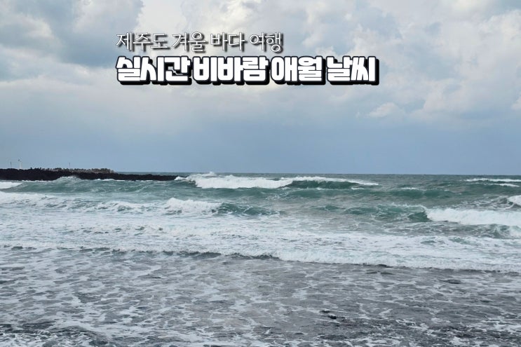  제주 애월 날씨 실시간 비바람 당일치기 겨울 바다 여행