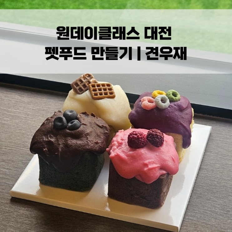  원데이클래스 대전 펫푸드 만들기 | 견우재