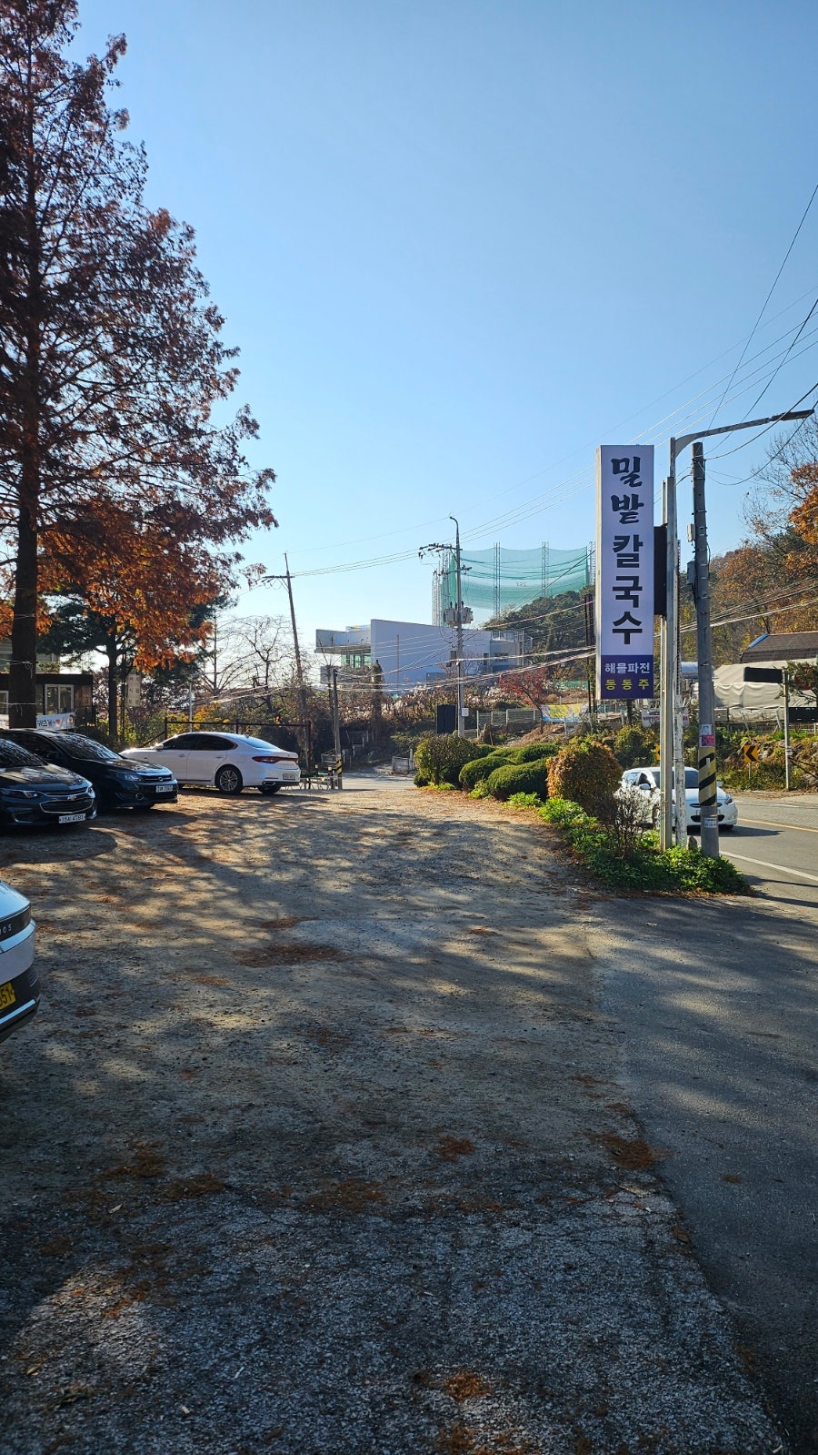 유량동밀밭 사진 4