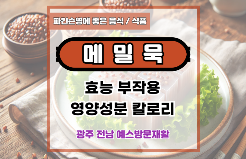 메밀묵 효능, 부작용, 칼로리, 영양 성분.