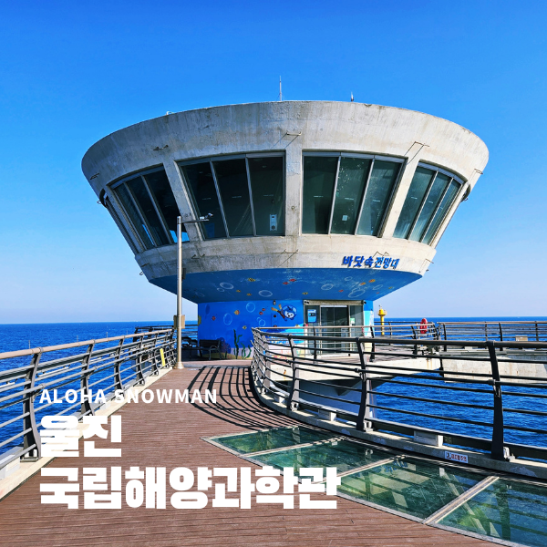 울진 국립해양과학관 아이들과 가볼만한곳