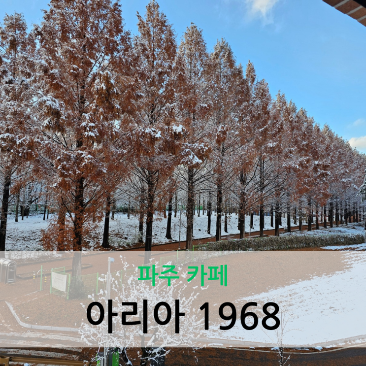  파주 카페 데이트 코스 추천 베이커리 대형카페 아리아 1968