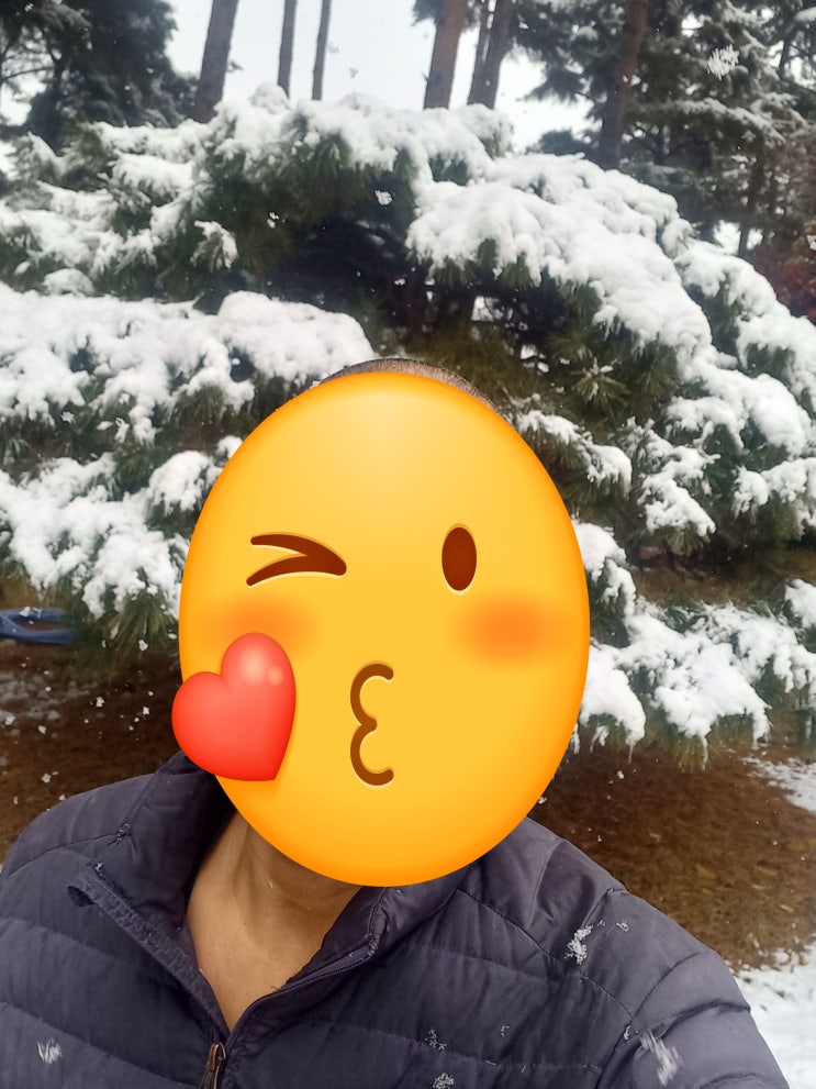 일기 : 반포 아기 탄생, 어지러운 <b>한동훈</b>, 이재명 <b>대표</b>!