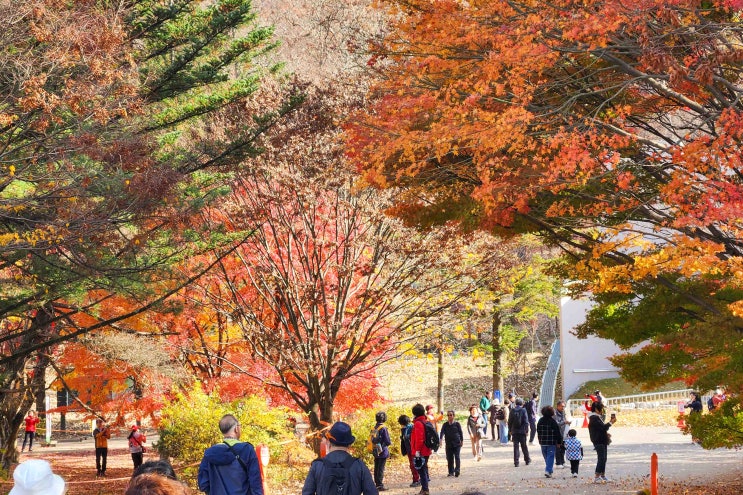  충북 여행 추천! 속리산 1박2일 패키지 체험후기(feat. 대추골주민여행사)