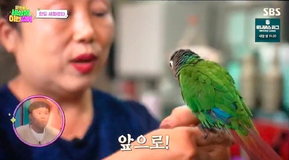 컷트만들기 사진 6