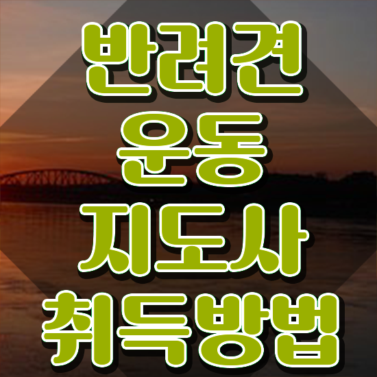  반려견운동지도사1급 , 반려견운동지도사자격증 합격 비법 , 구인 취업 급여