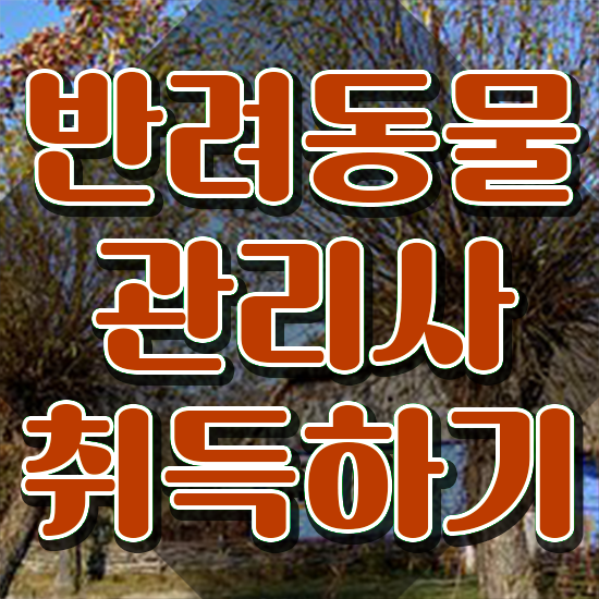  반려동물관리사1급자격증 , 반려동물관리사 자격증 1급,2급 동시에 취득했던 후기 콕콕 짚어드립니다