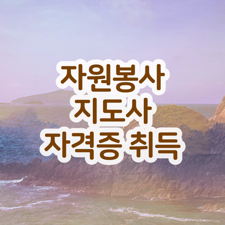  자원봉사지도사 준비기간 , 자원봉사지도사 자격증 20일 만에 준비한 과정 완벽 정리