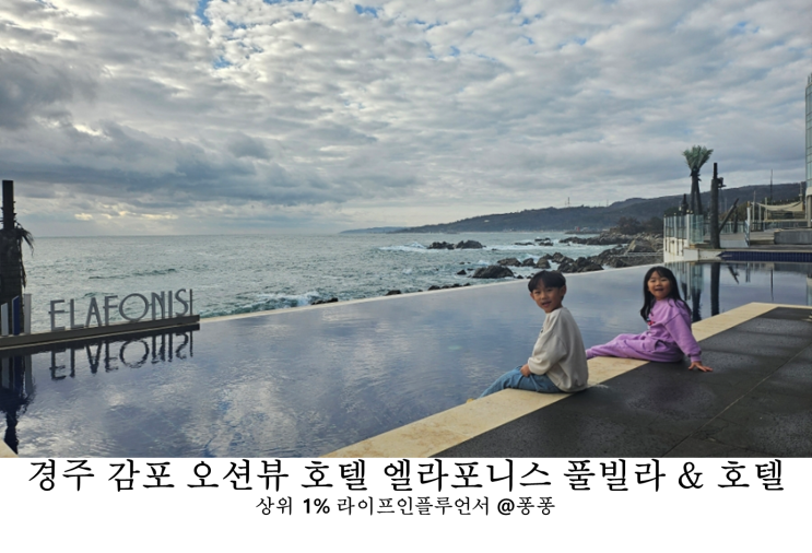  경주 감포 오션뷰 애견동반 숙소 겨울 아기랑 갈만한곳 엘라포니시 호텔 풀빌라 아이랑 가성비 조식 호캉스 후기