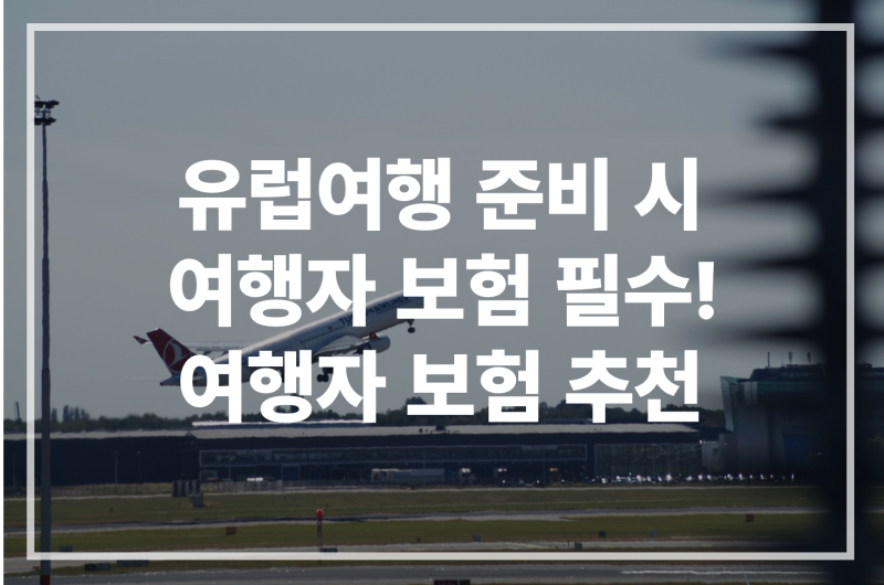 [동유럽 여행] 체코 여행자 보험 필수! 구조 송환 비용 7일 기준 보장되는 보험사를 찾다!! 10....