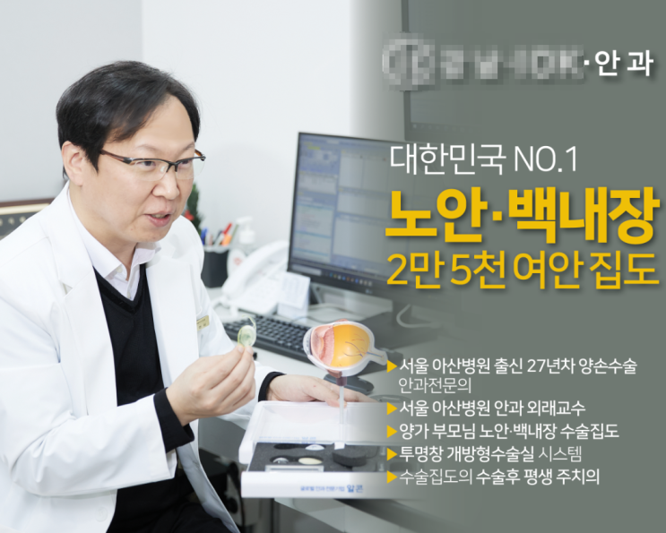  신논현역 노안 백내장 가격 정보 아이오케이안과
