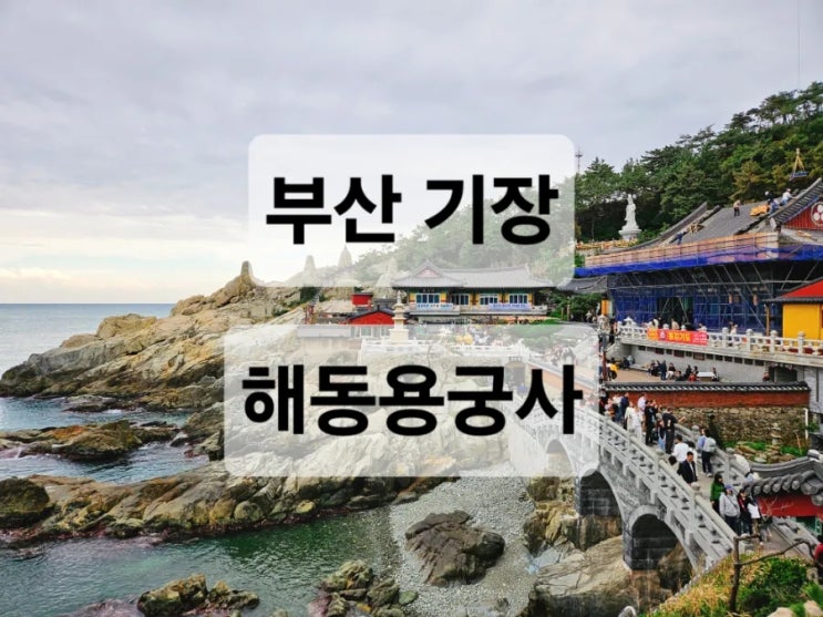  부산 기장 바다 절벽에 세워진 절경을 볼 수 있는 사찰  해동용궁사
