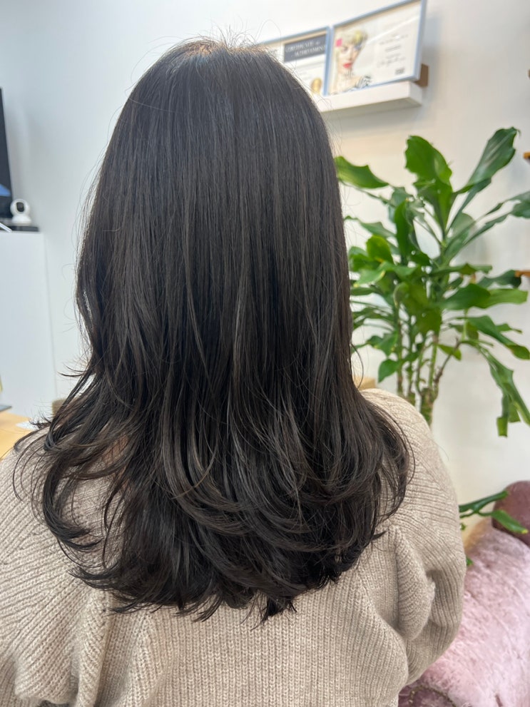  일산 빌드펌 1인미용실 김송정머리터 일산점에서 레이어드펌 세팅펌 후기