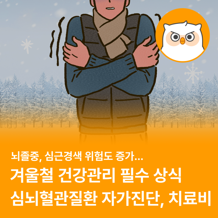  겨울을 특히 조심해야 하는 이유! (심뇌혈관질환 자가진단, 치료비)