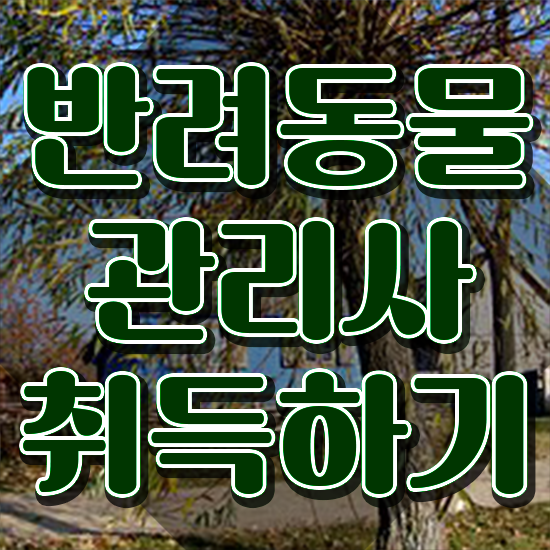  반려동물관리사자격증취업 , 반려동물관리사 자격증 온라인으로 간단히 준비한 방법 , 활용 방법