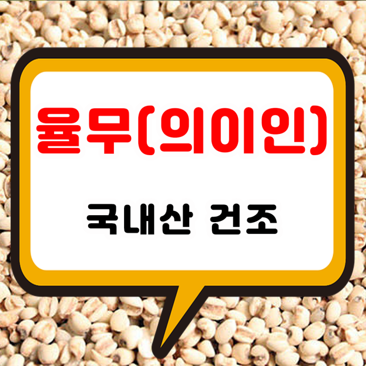 국내산 율무 효능과 마른 건율무 차로 먹는법 활용법 의이인 섭취 부작용 파는곳