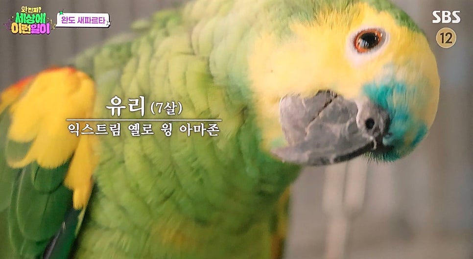 컷트만들기 사진 2