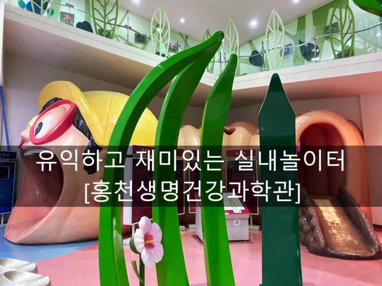  [홍천생명건강과학관]과학관이 이렇게 재미있다니~!3d영화와 각종 체험이 공존하는 실내놀이터