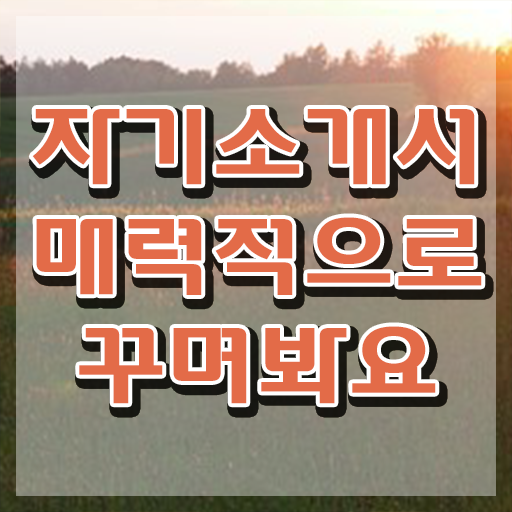  자소서 역량 , 자기소개서지도사 자격증 취득한 과정 정보 모두 드려요