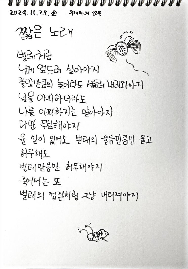  [필사] 짧은 노래-류시화