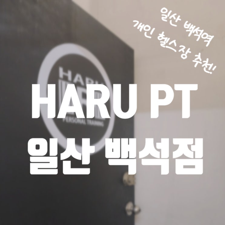  일산 백석역 헬스장 하루 PT, 개인 레슨 1개월 후기