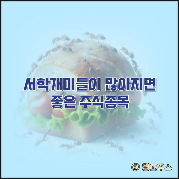 서학개미가 많아지면 좋은 주식종목(ft.증권주)