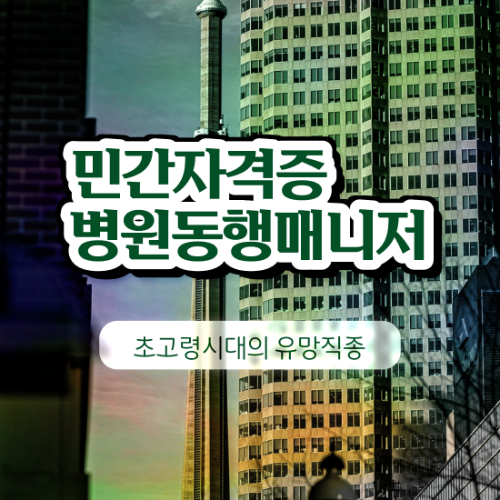  대학생 자격증 추천 , 병원동행매니져 일하면서 초단기 끝냈던 전략