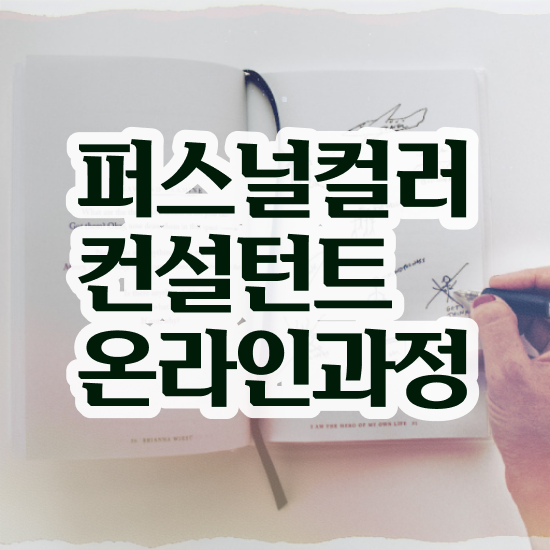  테스트잇 컬러 테스트 혼자서 독학으로 퍼스널컬러컨설턴트자격증 취득방법