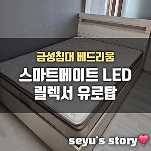 금성침대 베드리움 릴렉서 유로탑 매트리스/침대 추천/내돈내산 후기