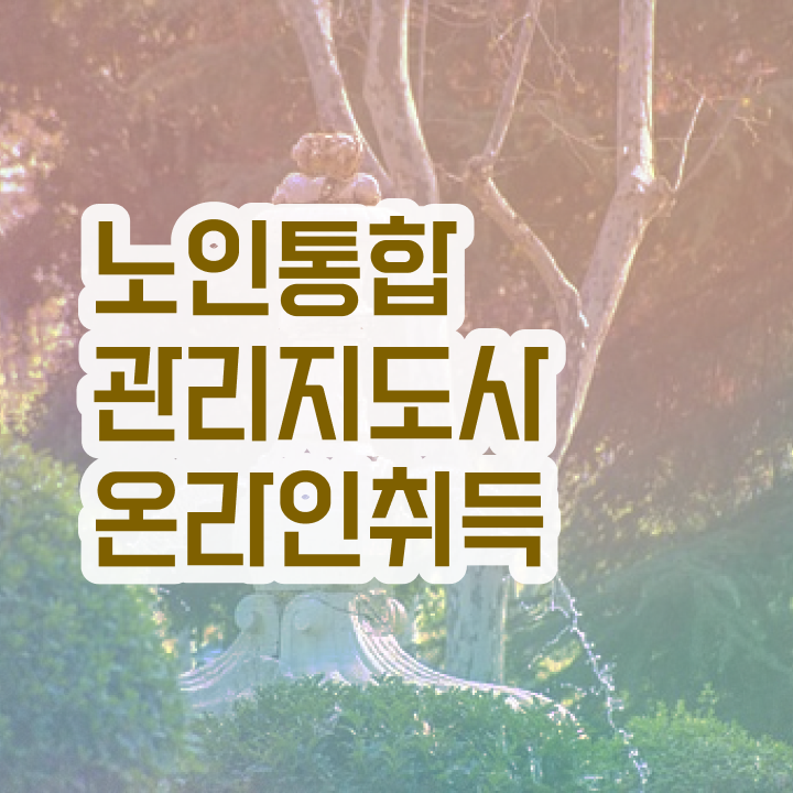  노인스포츠 지도사 , 노인통합관리지도사 자격증 쉽고 간편하게 취득한 노하우 요약