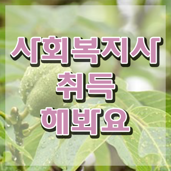  사회복지사 보수교육 의무대상 , 사회복지사2급 고졸자도 학점은행제로 빠르게