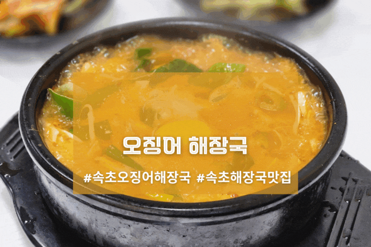  [속초 풍년식당] 오징어 해장국