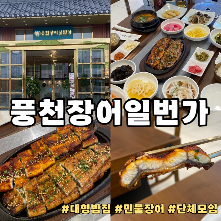  부산 맛집 여행 풍어장어일번가 : 민물 장어 대형 밥집 회식 단체 추천