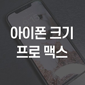 아이폰12 프로 맥스 실제 사이즈 비교