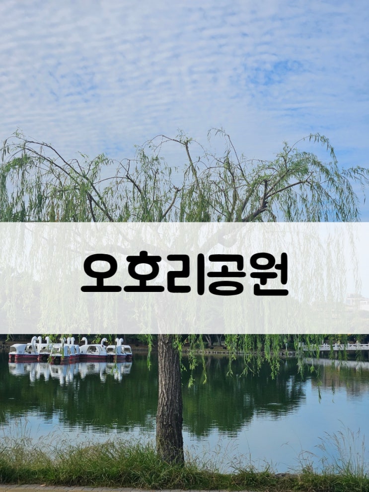  후쿠오카 ️커다란호수가 있는 오호리 공원 둘러보기