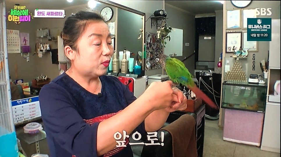 컷트만들기 사진 5